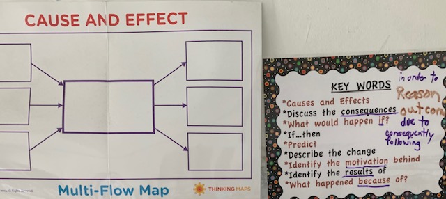 Multi-Flow Map